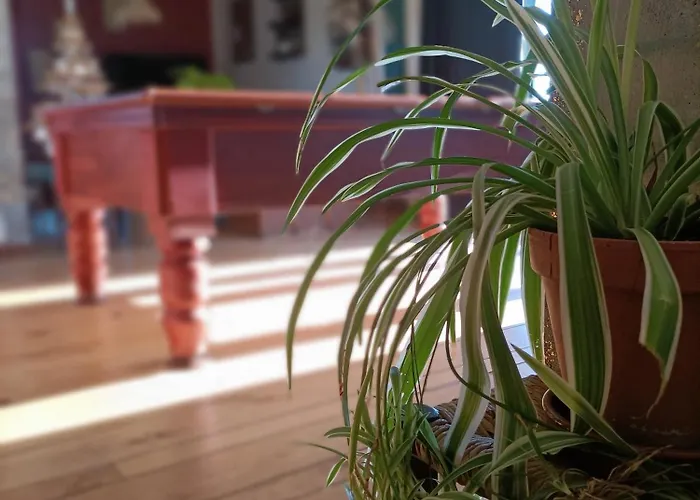 La Grange Des Anges Semesterbostad